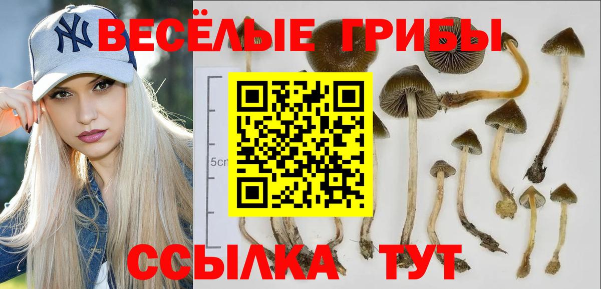 Псилоцибиновые грибы Magic Shrooms  Галлюциногенные грибы мухоморы  Вход с VPN  Партизанск 